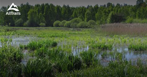 10 Best hikes and trails in Bolimów Landscape Park